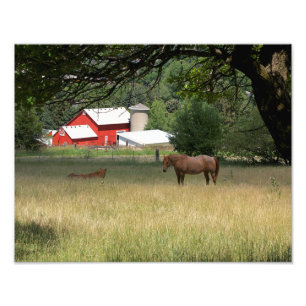 Red Barn And Horses Photo Print