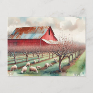 Red barn and pistachio orchard postcard