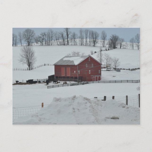 Red barn farm postcard (Front)