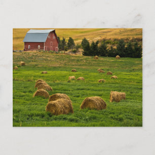 Red Barn, hay bales, Albion, Palouse Area 2 Postcard