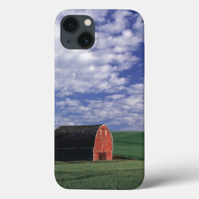 Red barn in wheat & barley field in Whitman Case-Mate iPhone Case (Back)