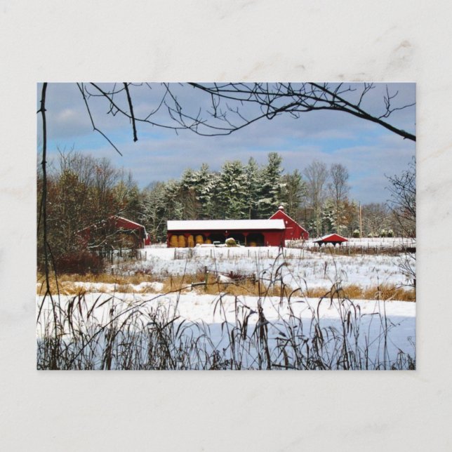 Red Barn in Winter New Hampshire Photography Holiday Postcard (Front)