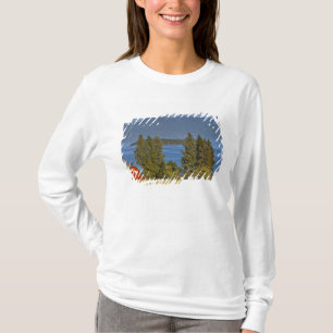 Red barn sits along scenic Flathead Lake near T-Shirt