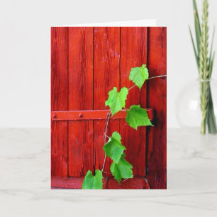 Red Barn Vine Card