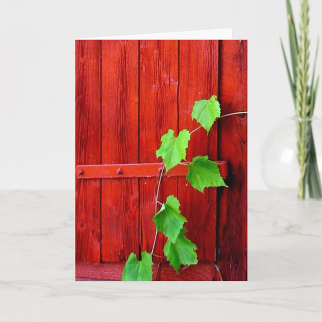 Red Barn Vine Card (Front)