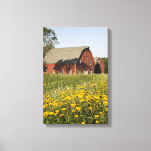 Red Barn with Yellow Wildflowers Canvas Print
