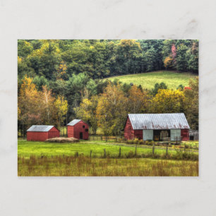 Red Barns Autumn Fall Virginia Countryside Postcard