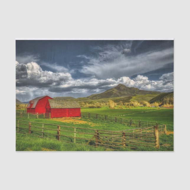 Red Barns Green Grass Field Squaw Mountain, WA Tissue Paper (Front)