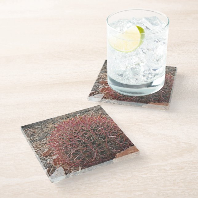 Red Barrel Cactus Desert Plant Landscape Glass Coaster (Angled)