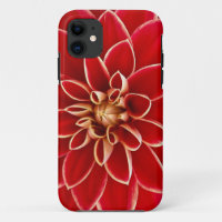 Red Beautiful Floral Flower Bud Blooming Bright