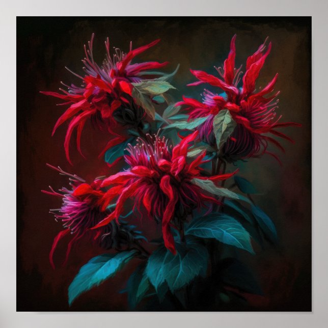 Red Bee Balm Flower Art Print Poster (Front)