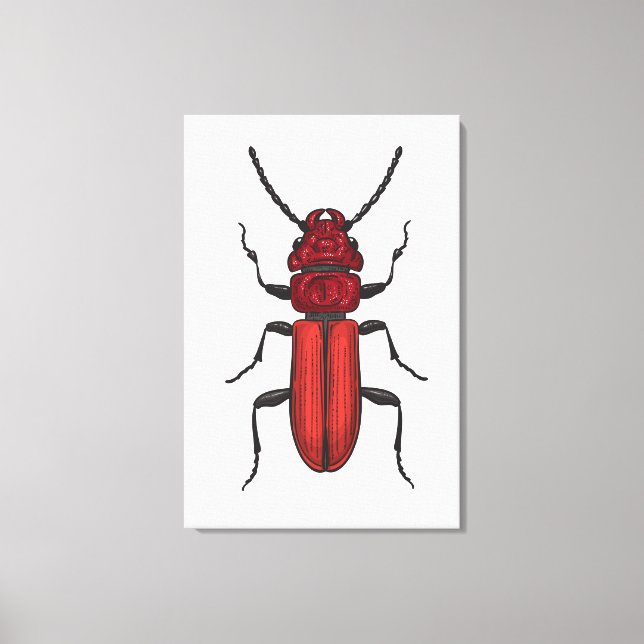 Red beetle canvas print (Front)