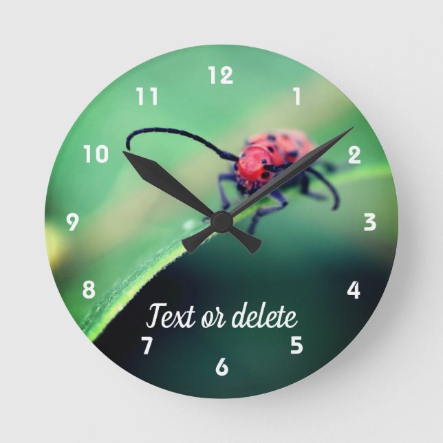 Red Beetle Insect Close Up Personalised Round Clock (Front)
