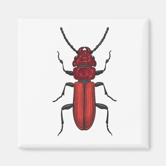 Red beetle magnet (Front)