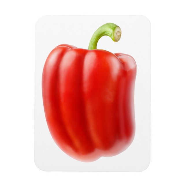 Red bell pepper magnet (Vertical)