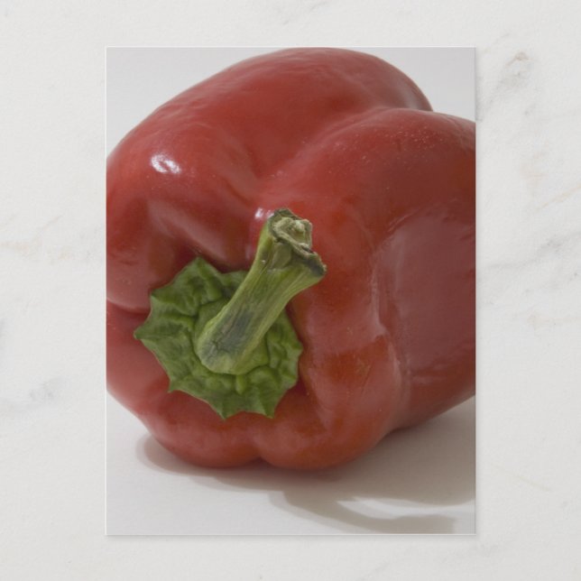 Red Bell Pepper Postcard (Front)