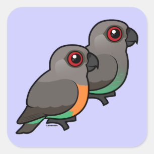 Red-bellied Parrot Pair Square Sticker
