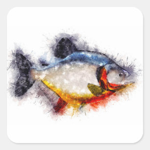 Red-bellied piranha monster fish aquarelle artwork square sticker