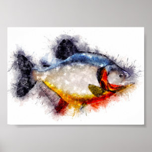 Red Bellied Piranha watercolor monster fish art Poster
