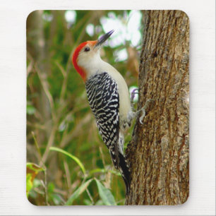 Red bellied Woodpecker Bird Mousepad