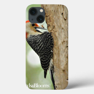 Red-Bellied Woodpecker iPhone 13 Case