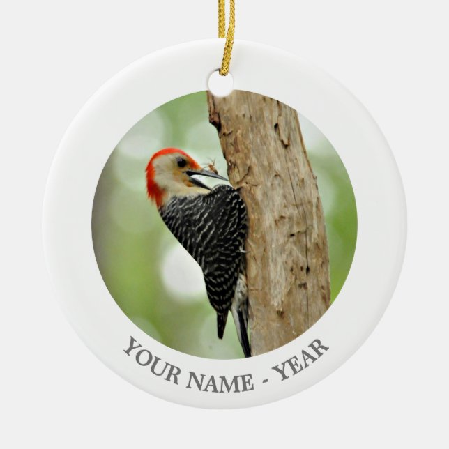 Red-Bellied Woodpecker Ceramic Tree Decoration (Front)