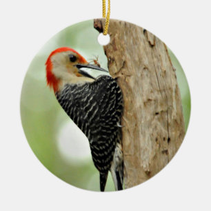 Red-Bellied Woodpecker Ceramic Tree Decoration