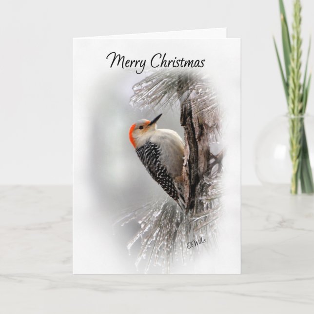 Red-Bellied Woodpecker Christmas Card (Front)
