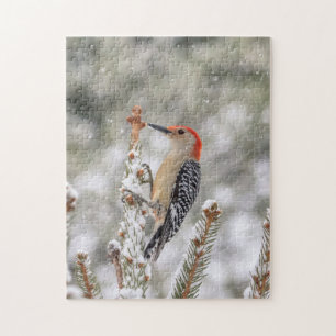 Red-bellied Woodpecker in the snow Jigsaw Puzzle