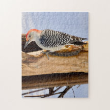 Red-Bellied Woodpecker Jigsaw Puzzle