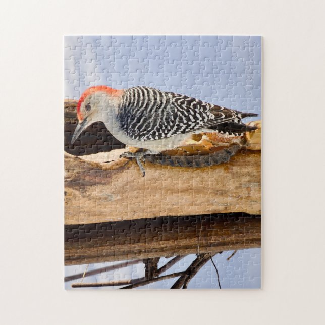 Red-Bellied Woodpecker Jigsaw Puzzle (Vertical)