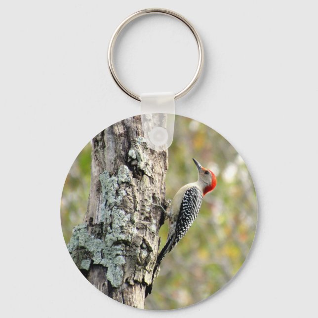 Red Bellied Woodpecker -  Key Chain (Front)