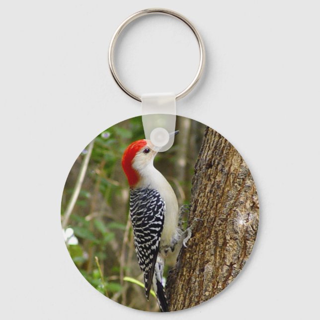 Red Bellied Woodpecker Keychain (Front)