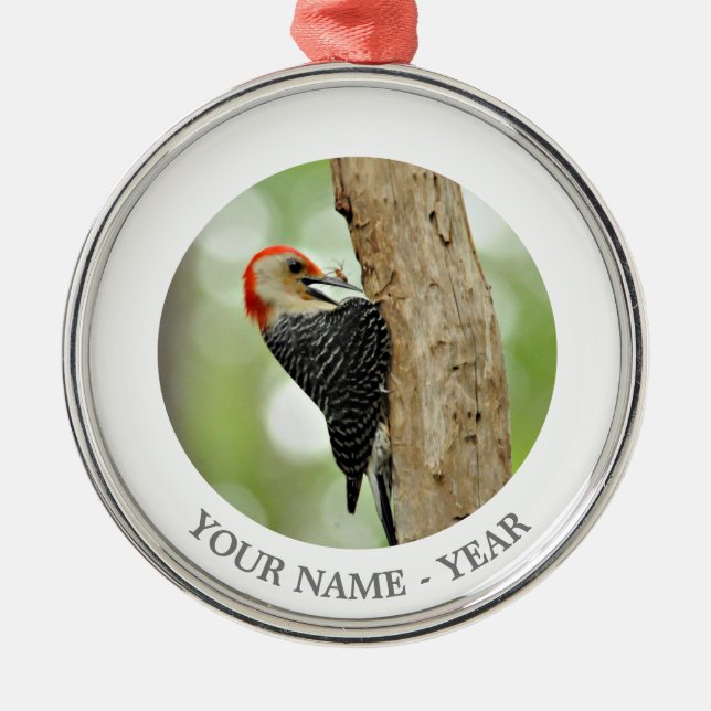 Red-Bellied Woodpecker Metal Tree Decoration (Front)