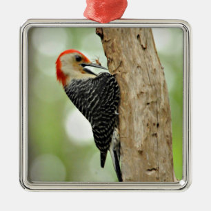 Red-Bellied Woodpecker Metal Tree Decoration