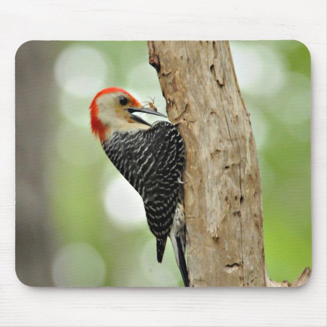 Red-Bellied Woodpecker Mouse Mat (Front)