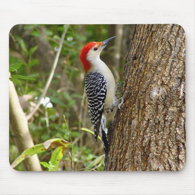 Red Bellied Woodpecker Mousepad 2 (Front)
