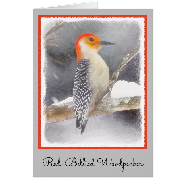 Red-Bellied Woodpecker Painting Original Bird Art (Front)