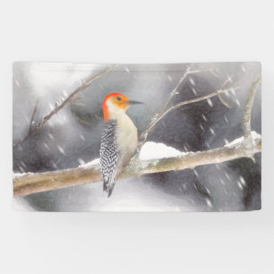 Red-Bellied Woodpecker Painting Original Bird Art Banner
