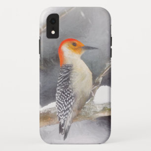 Red-Bellied Woodpecker Painting Original Bird Art iPhone XR Case