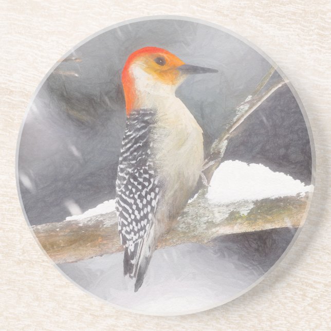 Red-Bellied Woodpecker Painting Original Bird Art Coaster (Front)