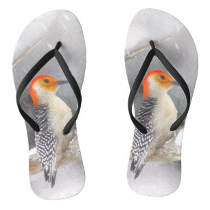 Red-Bellied Woodpecker Painting Original Bird Art Flip Flops