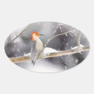 Red-Bellied Woodpecker Painting Original Bird Art Oval Sticker