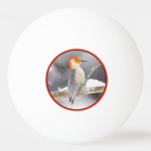 Red-Bellied Woodpecker Painting Original Bird Art Ping Pong Ball