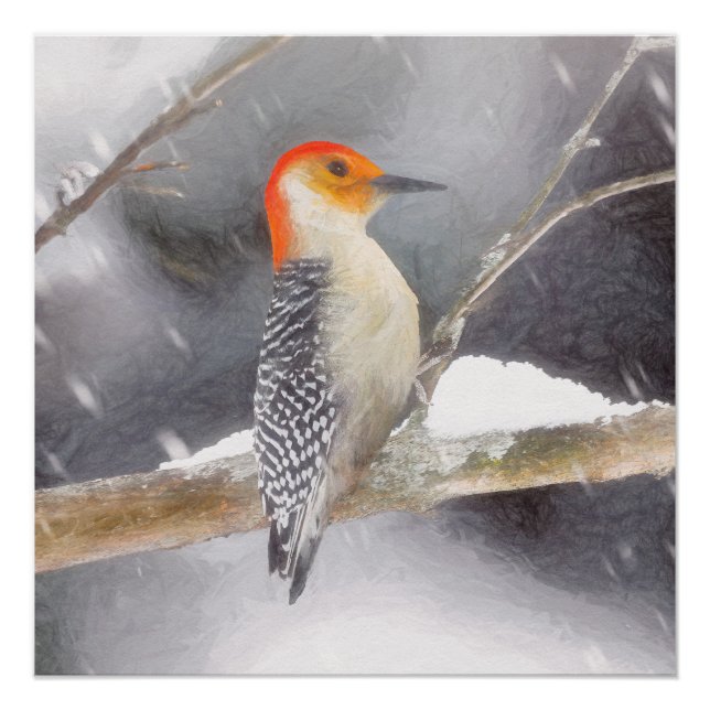 Red-Bellied Woodpecker Painting Original Bird Art Poster (Front)