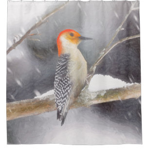 Red-Bellied Woodpecker Painting Original Bird Art Shower Curtain