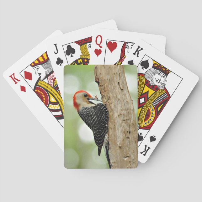 Red-Bellied Woodpecker Playing Cards (Back)