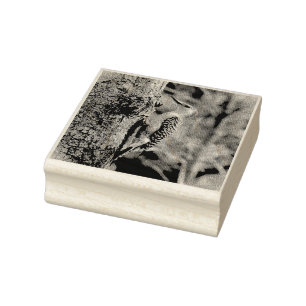 Red Bellied Woodpecker Rubber Stamp