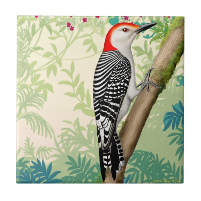Red Bellied Woodpecker Wild Bird Tile (Front)