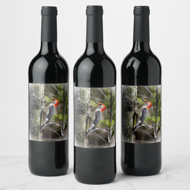 Red Bellied Woodpecker Wine Label (Bottles)